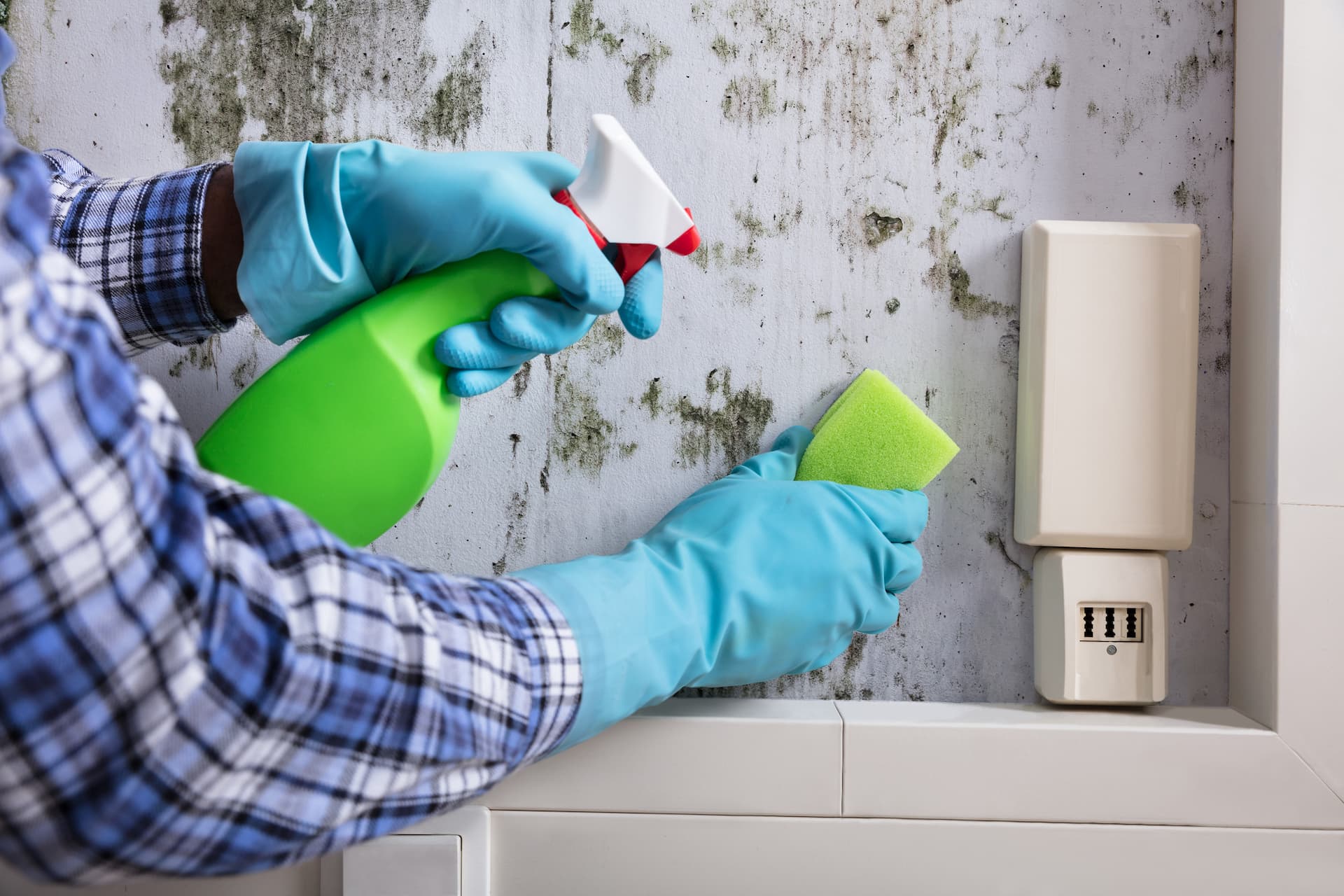 Residential Cleaning