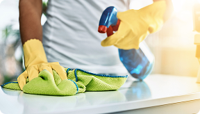 Cleaning Services