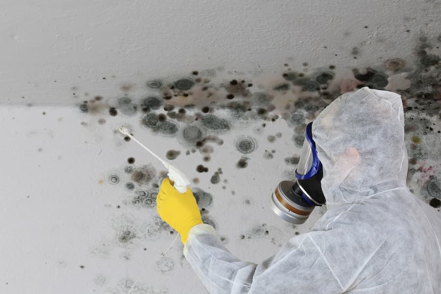 Mould Inspection & Mould Testing Services